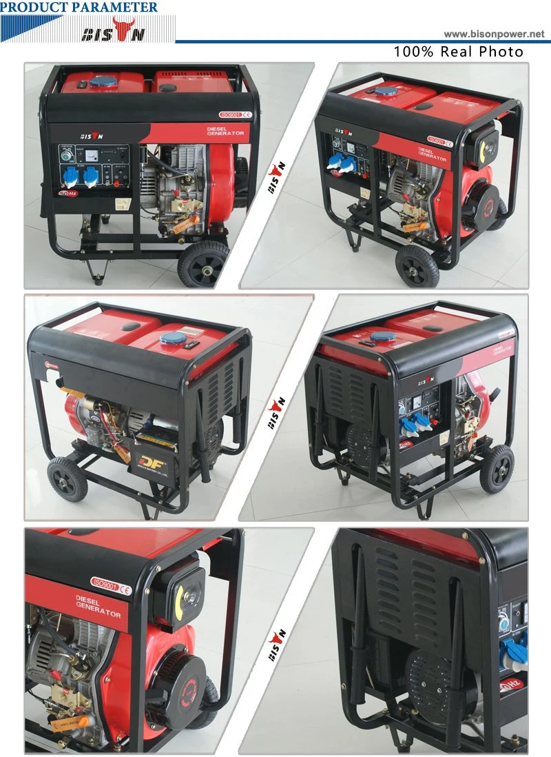 Bison (China) BS2500dce (H) 2kw 2kVA Electirc Start Copper Wire Suqare Frame Silent Diesel Generator Spare Parts Price for Malaysia