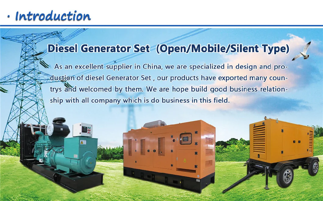 Super Quiet Diesel Generators Generator 10kw for Sale