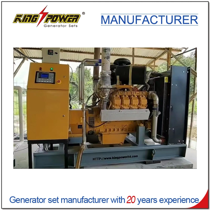 Professional Supplier of 350kw Factory Use Silent Natural Gas Biogas CNG LNG LPG Generator