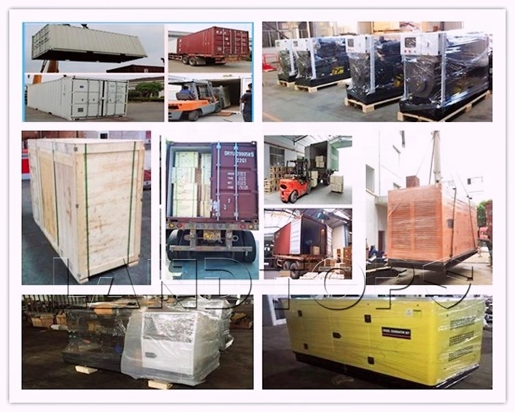 Factory Direct Sale Portable High Quality Silent Diesel Generator for Home Use