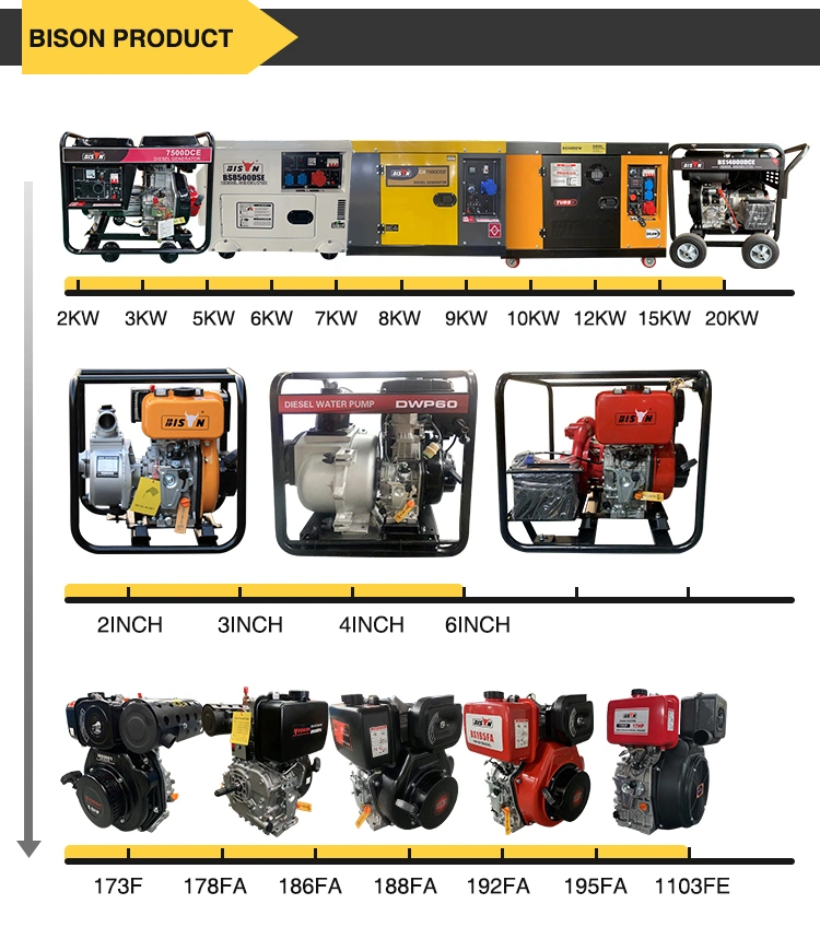 Bison Air Cooled 5kw 5kVA 6 Kw 6 kVA 7kVA 8kVA 240 V Small Key Start Soundproof Diesel Engines Generator for House
