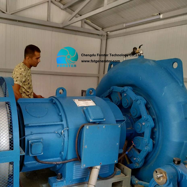 5%off 200kw 300kw 500kw 1MW Hydroelectrique Francis Water Turbine Generator Price