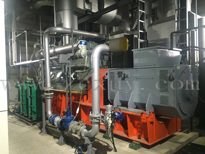 Ce ISO Approved Low Rpm High Efficiency 500kw Biomass Gas Biogas Power Generator