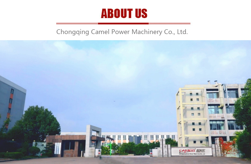 China Manufacturer 180A 7kw Inverter Welding Generator Diesel