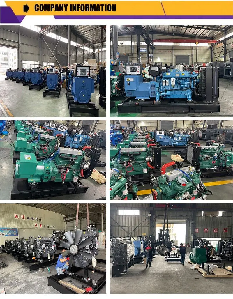 China Brand Suppliers Water Cooled 200kw 250kVA Diesel Power Generator with Cumminss Engine
