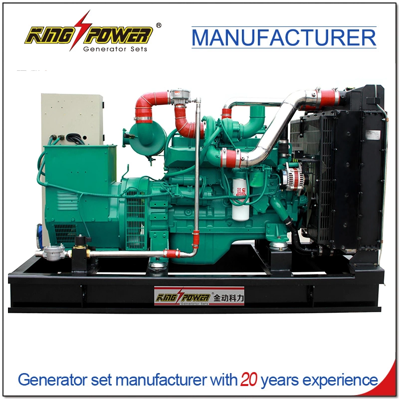 Professional Supplier of 350kw Factory Use Silent Natural Gas Biogas CNG LNG LPG Generator