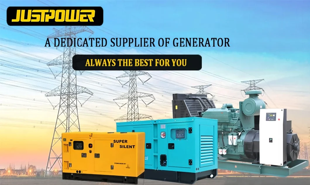 3 Phase Whole House Diesel Power Generator Canopy Large Capacity Power Electric Power Generators