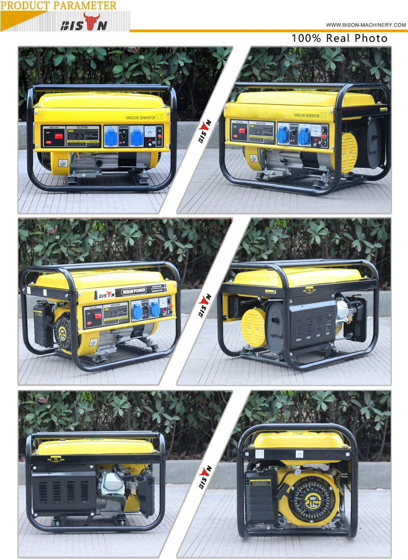 Bison Wholesale Customization 500W 850W 1000W 2000W 3kw 5.5 6.0kw 7.5kVA 8500W Home Small Portable Petrol Engine Gas Mini Power Gasoline Generator