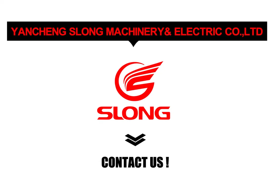 E. Slong Brand Standby Power Electric Super Silent Gasoline Generator 8kw