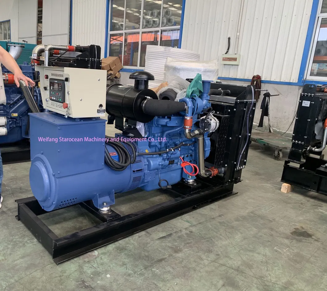 Soundproof Waterproof Type Fawde Genset 25 kVA Diesel Generator for Sale