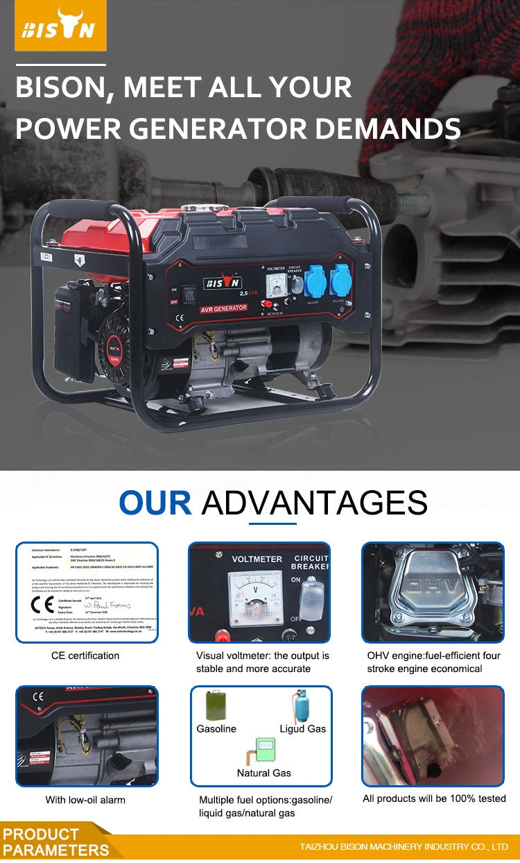 Bison Wholesale Customization 500W 850W 1000W 2000W 3kw 5.5 6.0kw 7.5kVA 8500W Home Small Portable Petrol Engine Gas Mini Power Gasoline Generator