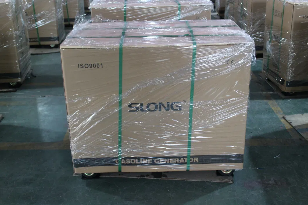 Slong Quiet Generator Factory 8kw 10kw Gasoline LPG Generator