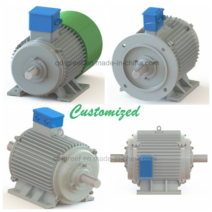 Axial Flux Brushless/Three Phase AC Synchronous Low Rpm/Speed Permanent Magnet Alternator/Generator Price for Wind Turbine