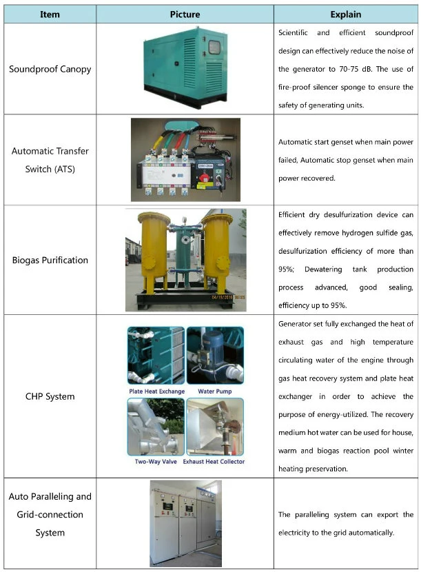 Commercial Containerized 1000 Kw Natural Gas Generator for Sale