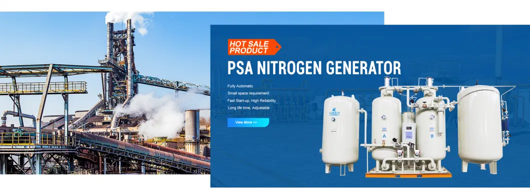 Plant N2 Generator Popular Small Nitrogen Generator Equipment Portable Nitrogen Gas Generator