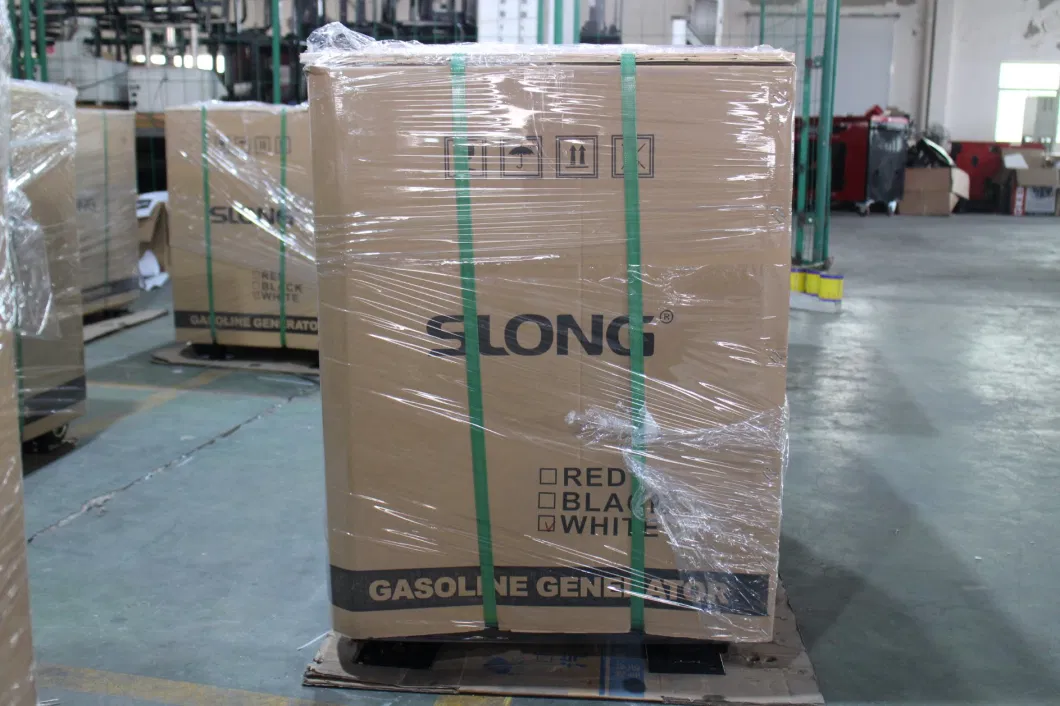 Slong Quiet Generator Factory 8kw 10kw Gasoline LPG Generator