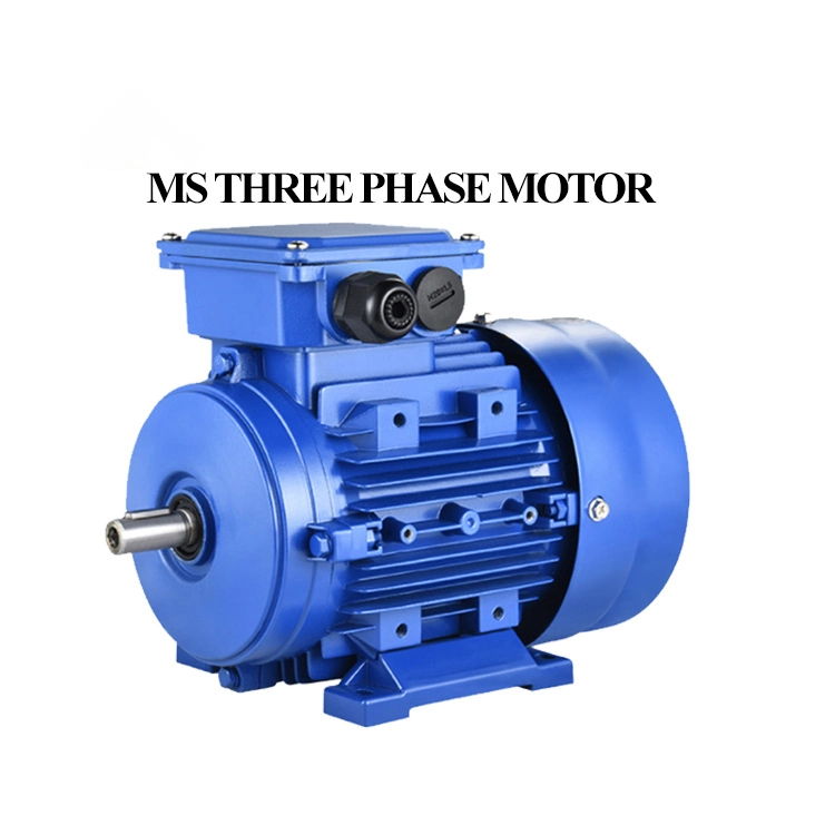 Silent High Power Brushless Alternator 10kw 15kw 20kw 25kw 30kw Diesel Generator