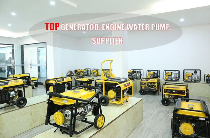 Power Value Light Weight Gasoline Generator 3000W 3kVA Frame Mounted Petrol Generator Portable Petrol Generator