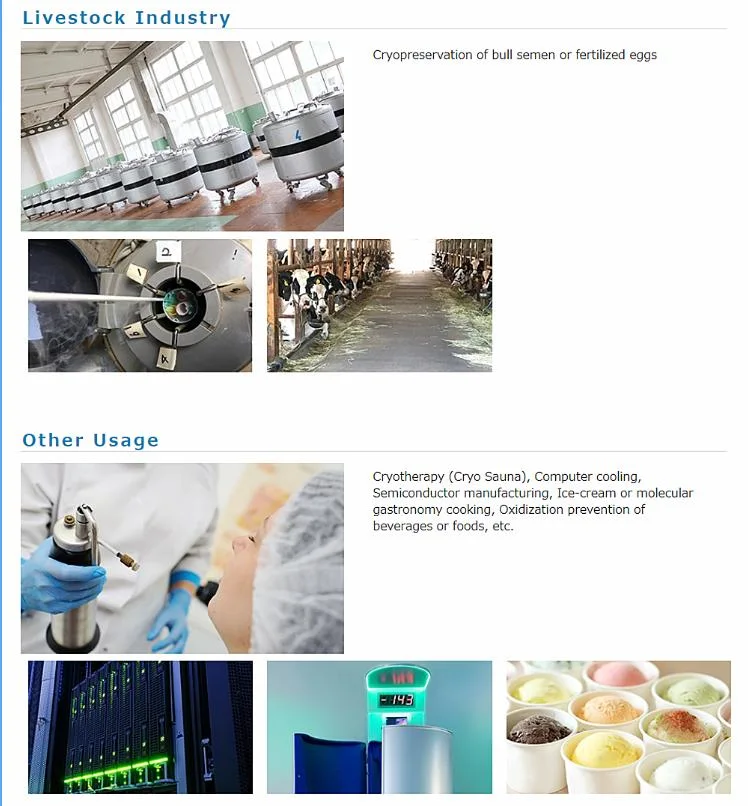 Industrial Equipment Nitrogen Liquefier N2 Liquid Nitrogen Plant Liquid Nitrogen Generator with Psa Technology for Laboratory 50%off