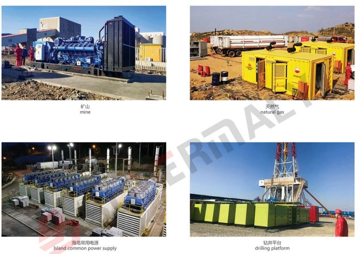 Gas Generator Set 625kVA/500kw Open/Canopy Spare Parts