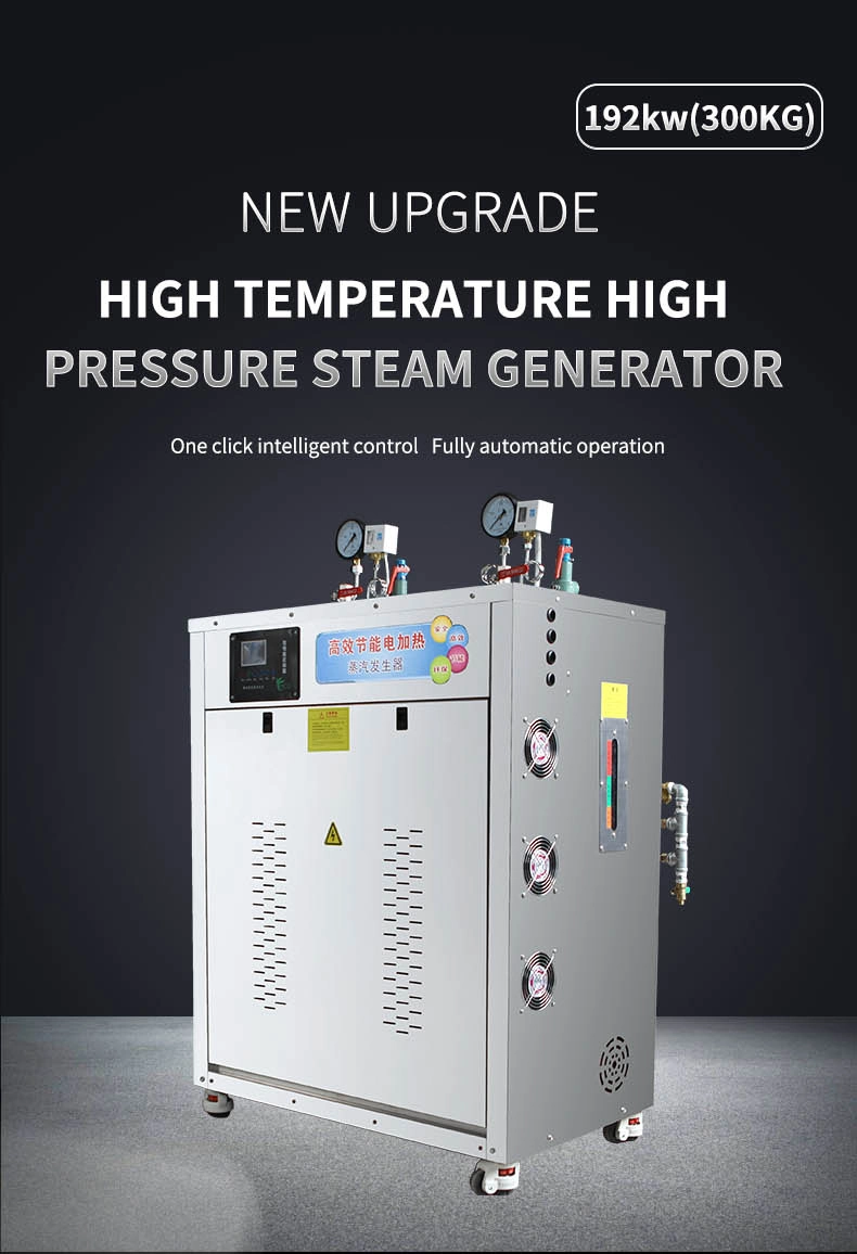 Palerton 192 Kw Capacity 300 Kg/H Energy-Saving High Thermal Efficiency Electric Heating Steam Generator