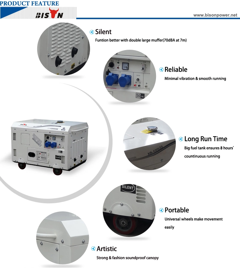 Bison Air-Cooled Portable Silent Type 10 kVA Diesel Generator