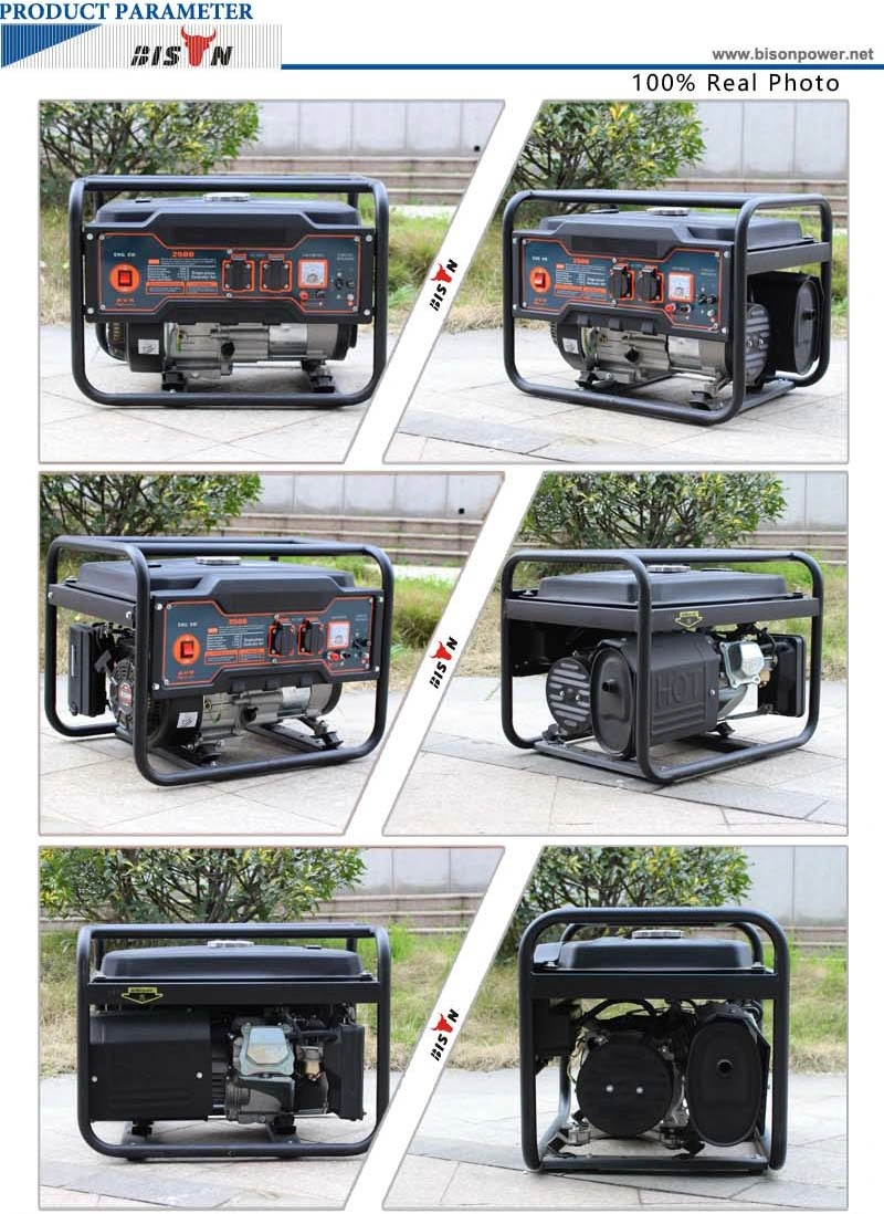 Bison (China) BS2500m 2kw 2000W 2kVA Small New Type 1 Year Warranty Small MOQ Military Generator