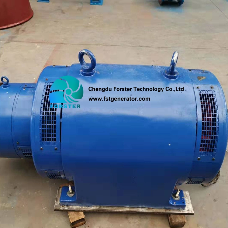 50 Kw~200 Kw Kaplan Type Water Turbine Generator