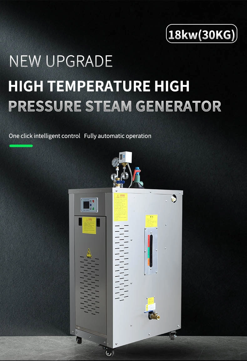 Palerton 18 Kw Capacity 30 Kg/H High Efficiency Electric Heating Steam Generator for Disinfection