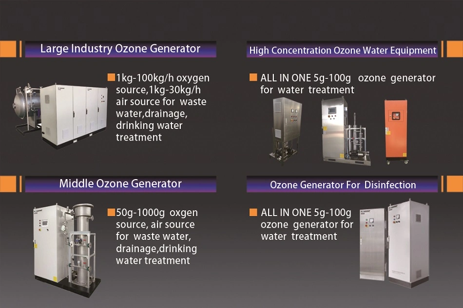 3G-10g Ozone Generator for Water, Air, Space, and Food Sterilization