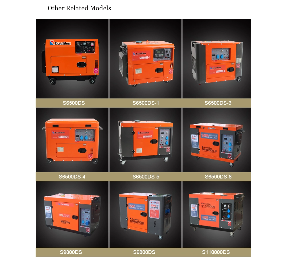 Small Portable 5kw 6kw 7kw 7500ds Silent Diesel Generator