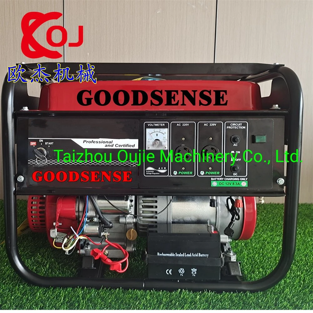 3kw Recoil Start Portable Generator with Gasoline Engine Gx170 CE Certificate