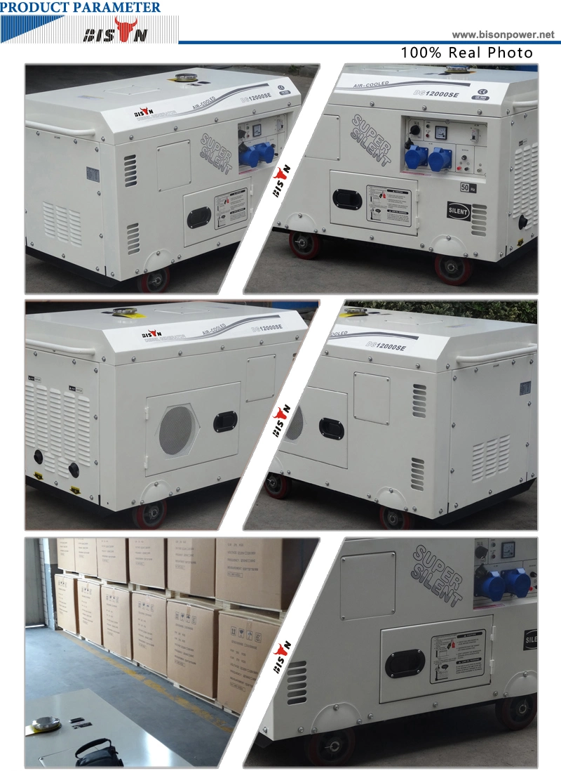 Bison Air-Cooled Portable Silent Type 10 kVA Diesel Generator