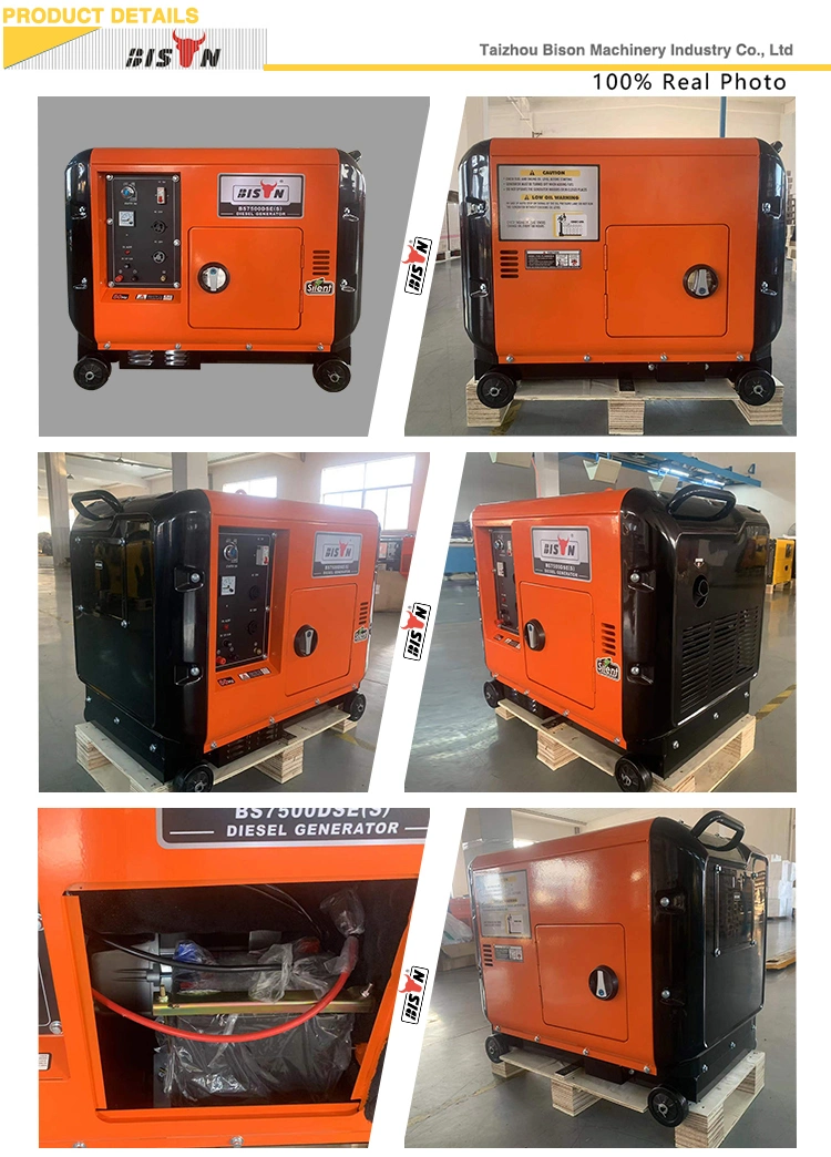 Bison Low Price Power Electric 6 Kw 7.5 kVA 8 Kw 10 kVA Small Size Silent Type Diesel Generator
