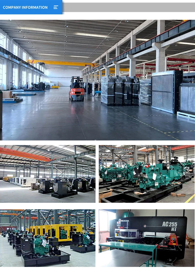 All Copper Motor 200 Kw Generator Set 250 kVA Diesel Generator Power Diesel Open Type Generator Made in China