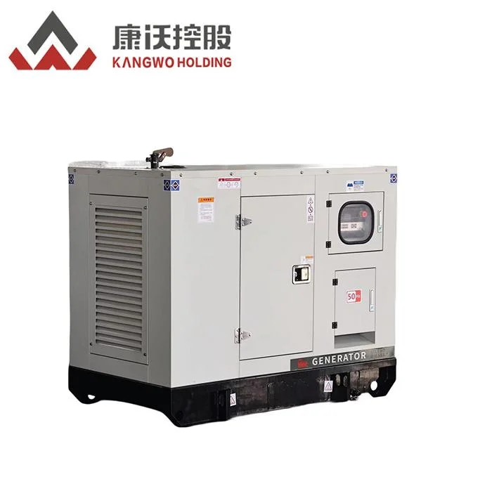 Fast Delivery 20 Kw 25 kVA Diesel Generator Portable for Sale