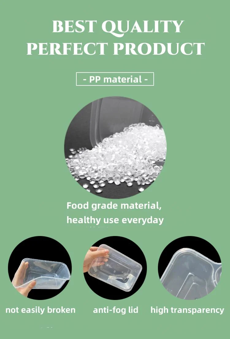 Biodegradable Easy Food-Grade Packaging and Storage Solution PP Container