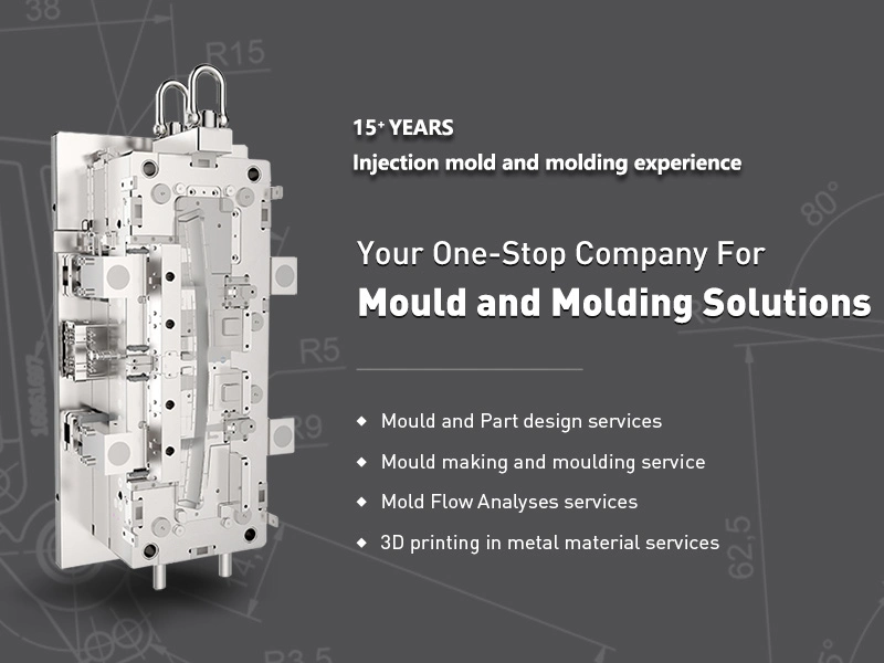 Rapid Prototype OEM Design Molds Plastic Precision Injection Mold Custom Case Moulding Cover Plastic Mould Maker for Sale