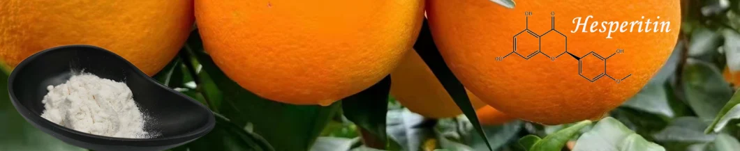Factory Citrus Aurantium Extract Hesperetin 98% Orange Citrus Peel Extract Powder