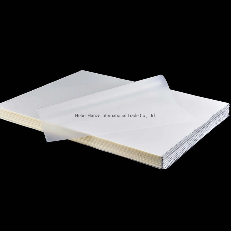 Dtf Pet Film Heat Transfer Film A3 A4 Sheets Roll for Printing