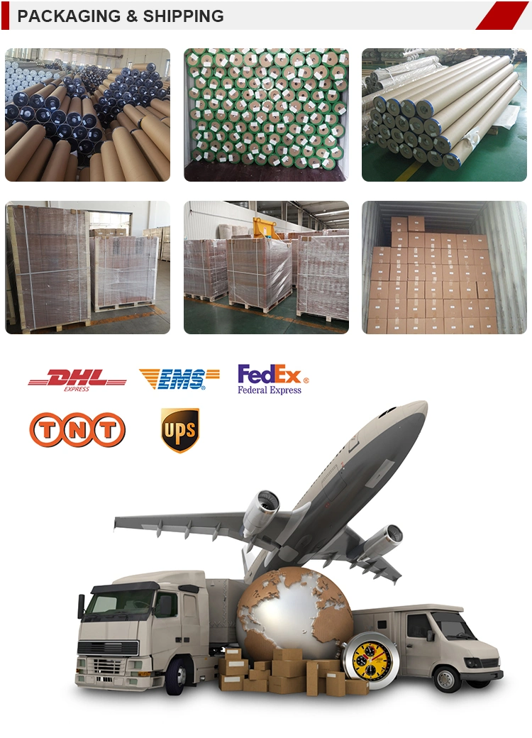 60cm 600mm 30cm 300mm 50cm 500mm Per Roll Htv Printable UV Dtf Transfer Film for Dtf Printer