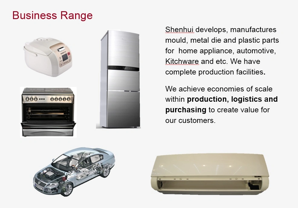 Professional Air Conditioner and Fridge Mold Maker From Guangdong China