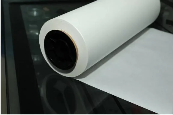 Signapex 60cm Pet Release Dtf Transfer Film Heat Transfer Printing