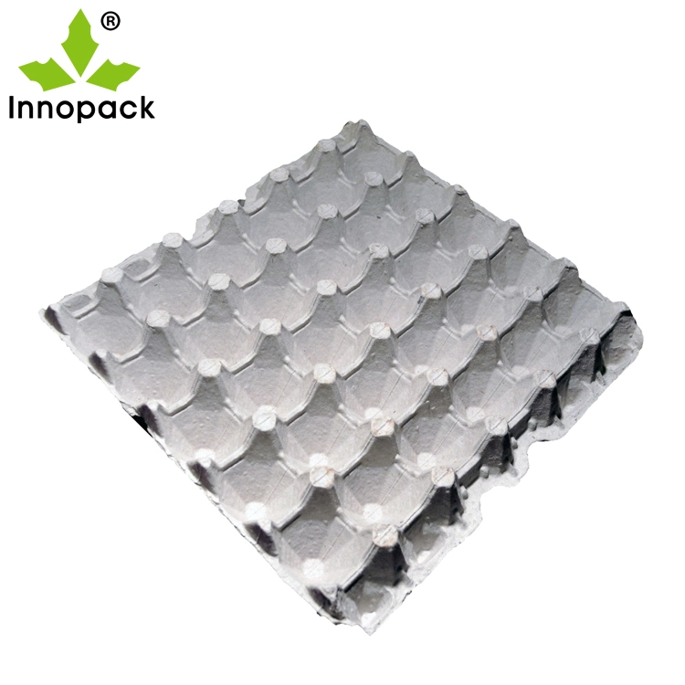 Functional 30 Cell Egg Tray Plastic Egg Trays