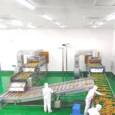 Linea di produzione di succhi di frutta concentrati 5T/H.