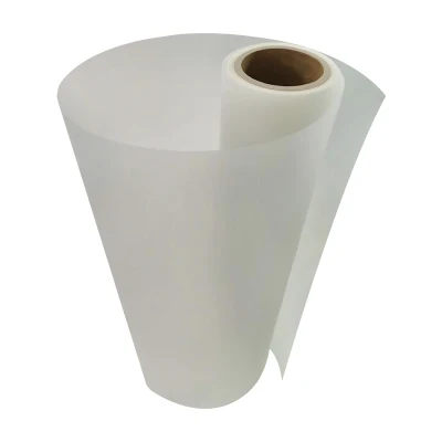  Pellicola DTF A3 da 60 cm a elevata qualità a doppia opaca Hot Peel Pellicola per stampa termica DTF tessile per abbigliamento