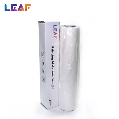  FOGLIA 30 cm 60 cm doppio lato trasferimento di calore PET film DTF Rotolo pellicola