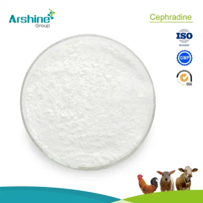  Materie prime farmaceutiche ad alta purezza CAS 38821-53-3 Cefradina