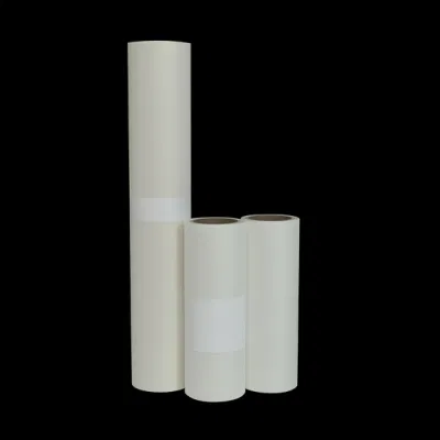  Hot Peel Cold Peel Double Single Side Printing 75 micron Rotolo di film per animali DTF da 30 33 60 cm 60 cm x 100 m. Per stampante a trasferimento termico