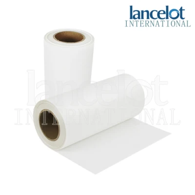 Trasferimento di calore PET stampabile con pellicola per stampe digitali di tutte le dimensioni Pellicola per stampa DTF lunghezza 100 m.